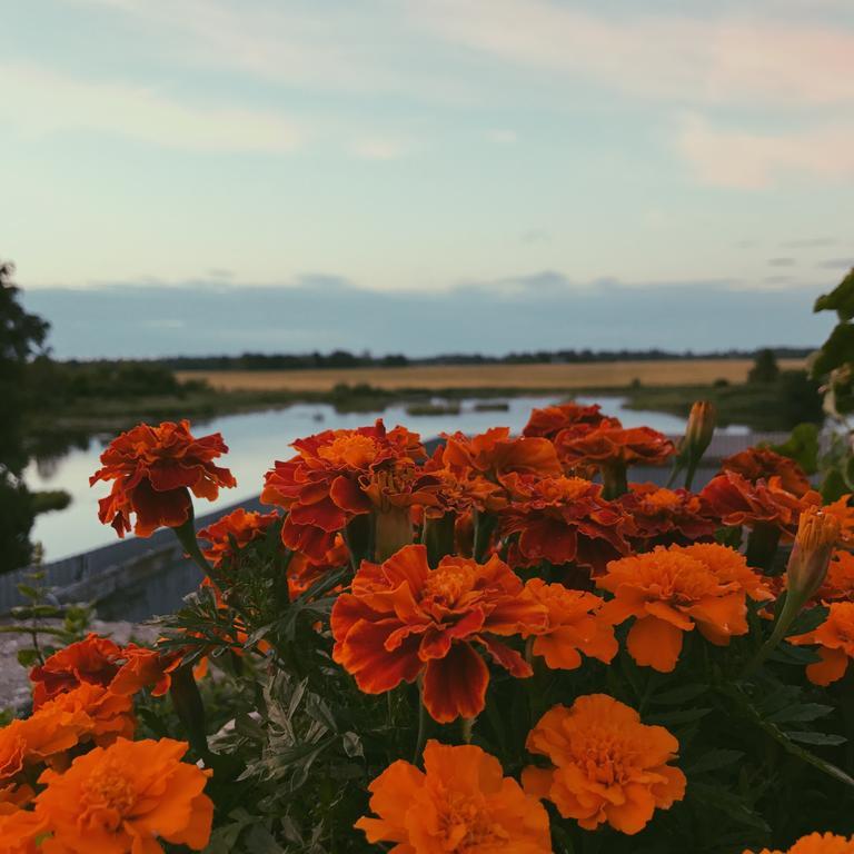 Ilmatsalu Motell Kültér fotó